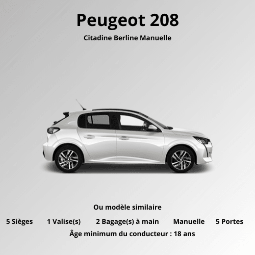 Peugeot 208 - AVLCARS
